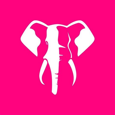 888bets elephant